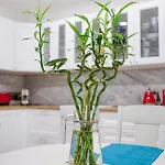 A Lovely 2br Maisonette With Private Terrace & Bbq By 360 Estates St. Julian's