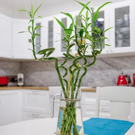 A Lovely 2br Maisonette With Private Terrace & Bbq By 360 Estates San Ġiljan