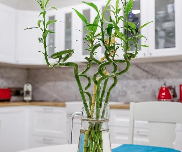 A Lovely 2br Maisonette With Private Terrace & Bbq By 360 Estates St. Julian's